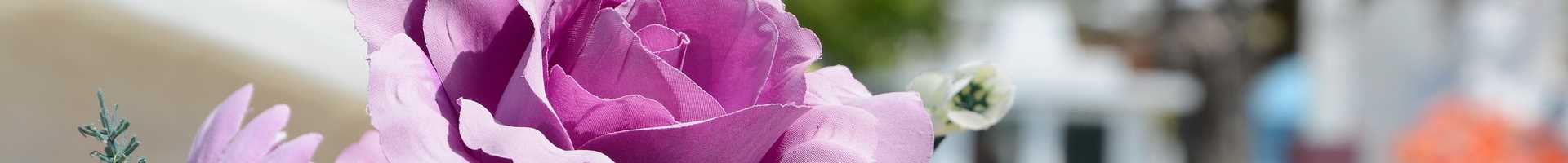 Flower at a cemetery