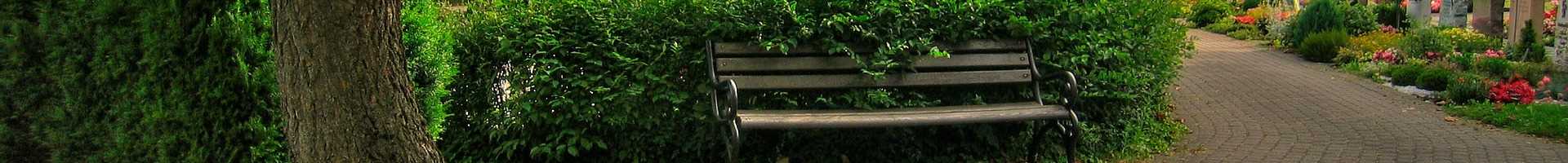 Bench at a cemetery Bench at a cemetery